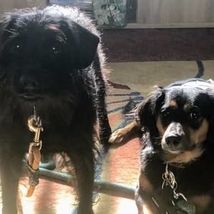 Meet your Posher, Katherine